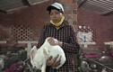 Người phụ nữ ở Đắk Lắk thu cả trăm triệu đồng mỗi năm nhờ thỏ