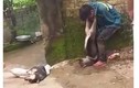 Trộm chó, nam thanh niên bị người dân treo chó lên cổ