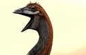 Giải mã bí ẩn về loài chim lớn nhất thế giới nặng 860 kg
