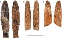 Video: Tìm thấy con dao cổ đại hơn 90.000 năm tuổi