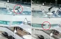 Video: Cô gái ngã xuống bể đầy cá mập ở Trung Quốc