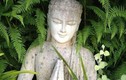 7 cách thay đổi số phận theo lời Phật dạy