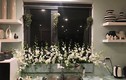 Mẹ đảm khoe "vườn hoa" độc đáo trên cửa sổ bếp gây bão
