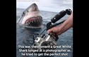 Video: Giây phút cá mập trắng dài 5m nhe răng tấn công thợ lặn