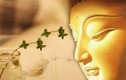 7 điều Đức Phật dạy phải ghi nhớ để sống an nhiên, hạnh phúc