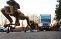 Video: Đàn chó robot phô diễn sức mạnh, kéo xe tải hạng nặng lên dốc