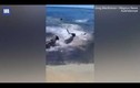 Video: Đàn chó lao xuống biển đùa giỡn với "sát thủ đại dương"