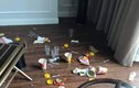 Xôn xao nhóm người thuê phòng khách sạn 5 sao để xả rác
