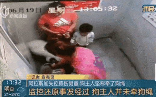 Video: Bé trai bị chó khổng lồ tấn công trong thang máy