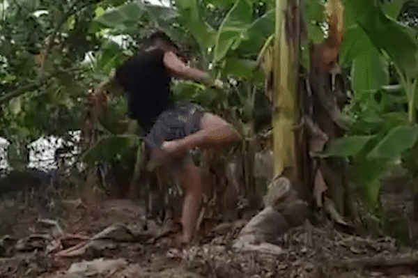 Video: Nữ võ sĩ vô địch thế giới đá gãy cây chuối bằng ống quyển