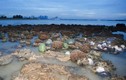 Video: Đảo rác trở thành khu du lịch hút khách ở Singapore