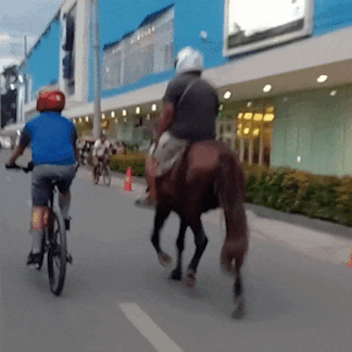 Video: Người đàn ông cưỡi ngựa giữa đường đông xe qua lại