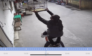 Video: Trộm táo tợn "cuỗm" lồng chim trong "phút mốt" gây ngỡ ngàng