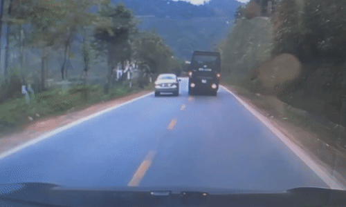 Video: Xe con vượt nhanh, đâm trực diện vào con bò chạy qua đường