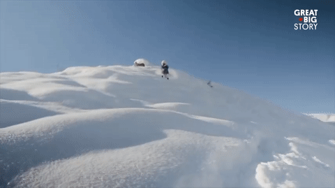 Video: Nơi tuyết rơi hơn nửa năm, người dân đi lại bằng ván trượt cổ