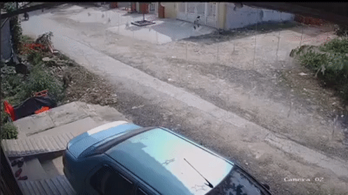 Video: Chó đột ngột chạy sang đường khiến tài xế xe máy ngã "sấp mặt"
