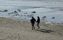 Thanh niên bị phạt khi cầu hôn tại bãi biển đóng cửa vì Covid-19