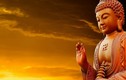 Phật dạy: 3 chữ "quá" cần tránh mới có thể hưởng phúc trọn đời
