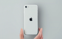 Đặt hàng iPhone SE 2020 tại Việt Nam, giá dưới 11 triệu đồng
