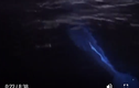 Video: Phát hiện cá heo phát ra ánh sáng màu xanh điện