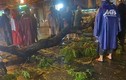 Vụ cây xanh tét nhánh đè chết người ở TP HCM: Chính quyền nói gì?