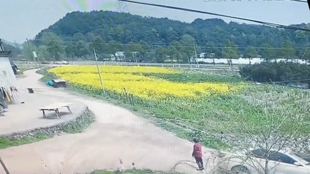 Video: Tài xế kéo lê cụ ông trong lúc lùi xe mà không hề hay biết