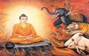 Hiểu rõ lời Phật dạy để lúc khó khăn nhất vẫn bình thản giữa đời