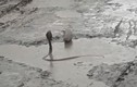 Video: Cầy Mangut quần chiến kịch tính với hổ mang dưới vũng bùn