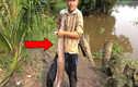 Video: Chỉ với một con dế, người đàn ông câu được cá trê siêu khủng