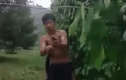 Video: Nam thanh niên dùng tay không tóm gọn rắn hổ mang khổng lồ