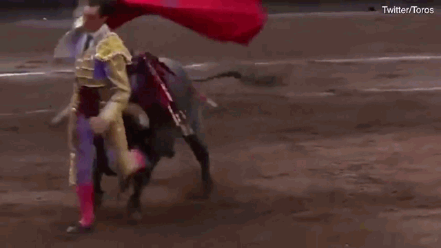Video: Kinh hoàng khoảnh khắc võ sĩ đấu bò bị húc văng lên không trung