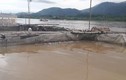Cá chết trắng do thủy điện Hòa Bình xả lũ: Dân khóc như mưa