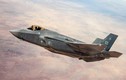 Mỹ bác bỏ việc tìm thấy xác tiêm kích F-35