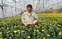 Vườn hoa bạc tỉ của đại gia nông dân Lâm Đồng