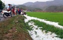 Sơn La: Mưa đá lớn nhất trong lịch sử hàng trăm hộ dân bị thiệt hại
