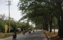 Những con đường điều hòa “cứu” dân Sài Gòn khỏi nắng nóng