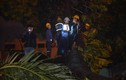 Trắng đêm xử lý hiện trường cây ngã đè 4 nhà dân ở Sài Gòn