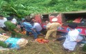 Nóng: Xe giường nằm chở gần 50 người lao xuống vực ở Quảng Nam