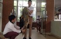 Cận cảnh cá chiên “khủng” giá chục triệu đồng ở Hà Nội