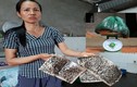 Người dân khu bãi rác Nam Sơn: “Thu hoạch” 5kg ruồi/tuần
