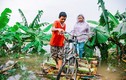 Chùm ảnh: Cuộc sống ở ốc đảo Hà Nội những ngày nước lên