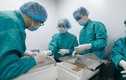 Vắc-xin COVID-19 “made in Vietnam” vượt tiến độ dự kiến  