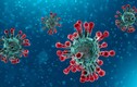Bệnh viêm phổi do virus corona có tên gọi mới