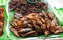 Những món ăn từ côn trùng của Lào khiến du khách “khóc thét”