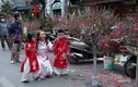 8 ngày nữa đến Tết, chợ hoa phố cổ Hà Nội vắng chưa từng có