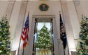 Choáng ngợp khung cảnh trang trí Noel lộng lẫy trong Nhà Trắng
