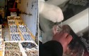 Cảnh nhân viên y tế test Covid-19 cho cá ở chợ “gây bão” mạng