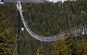 Du khách phấn khích trải nghiệm cây cầu treo dài nhất thế giới
