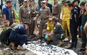 Điều tra án mạng, cảnh sát vớt 298 mảnh xương dưới ao cá sấu