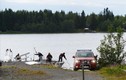 Thụy Điển: Máy bay rơi, 9 người thiệt mạng
